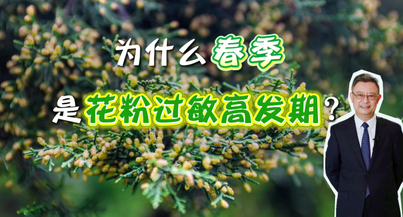 为什么此时是花粉过敏高发期？过敏人群速看→