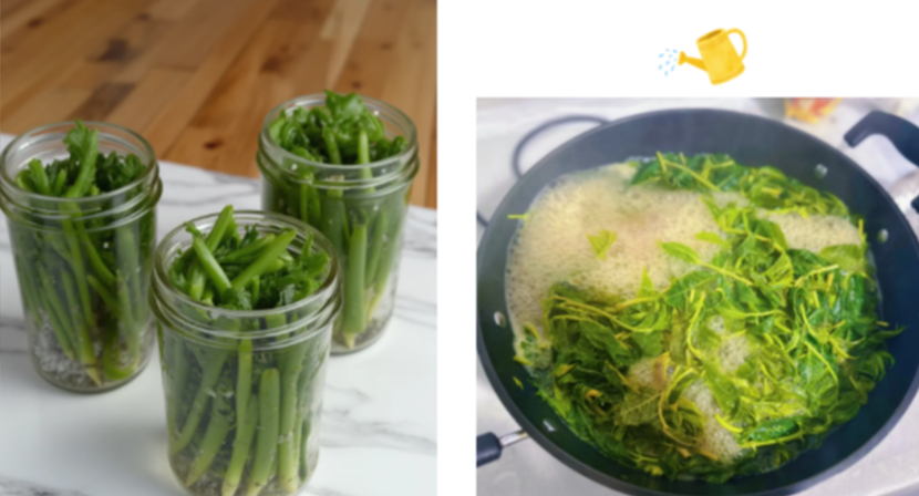春日尝鲜要当心！香椿、椿芽到底要不要焯水？这样吃更安全