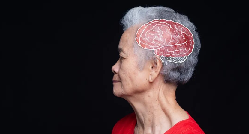 八九十岁记忆仍超群？他们的大脑有什么不一样？