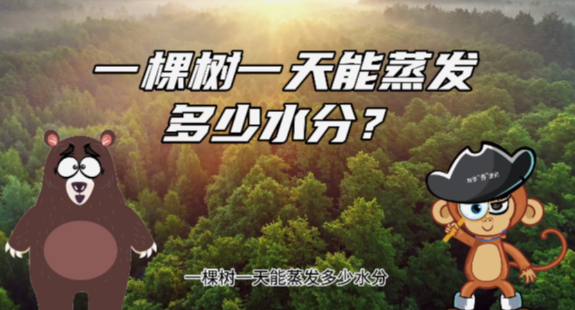 树在一天内能蒸发多少水分？