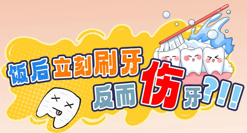 饭后立刻刷牙，反而伤牙？