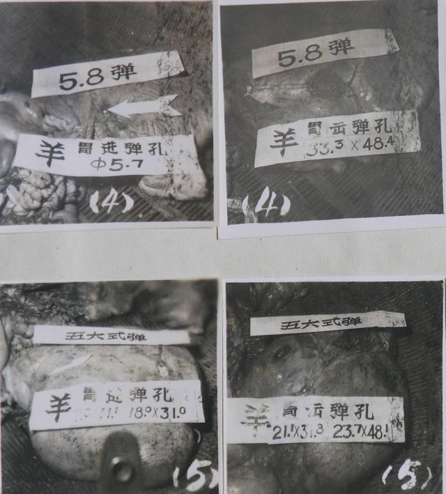 1533525309346f6fa2e1308