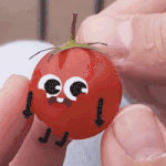 68c24dbda3994fe299ba4af6b1858aa8