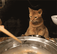 d425f927dedf43f39c5735e83c23f4bd