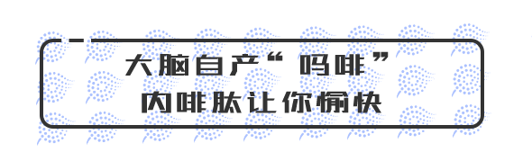 1566887843%E5%A4%A7%E8%84%91%E8%87%AA%E4%BA%A7%E5%90%97%E5%95%A1.png?size=79130