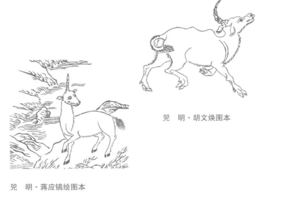 15716242281.png?size=204797