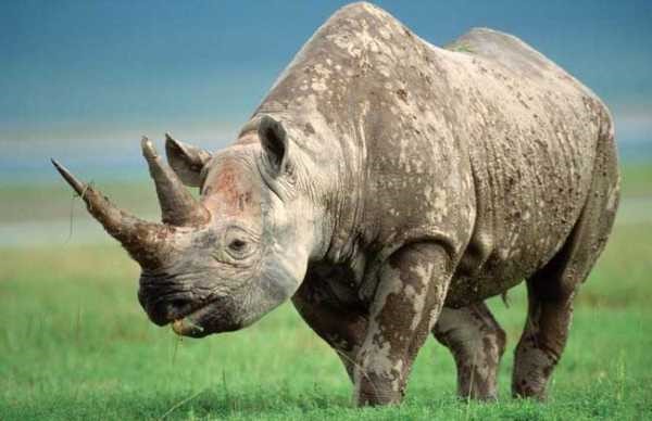 15716245533.jpg?size=46269