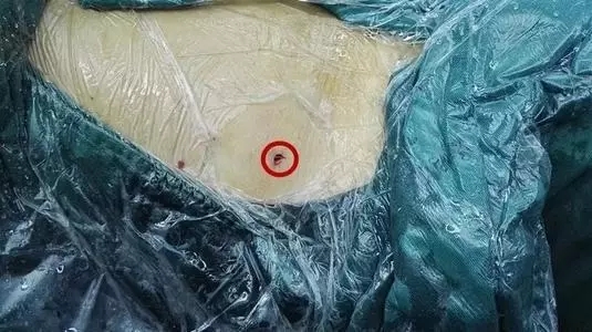 1571746170135705.jpg