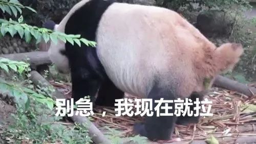 1574410152W020191122326025653464.jpg?size=32477