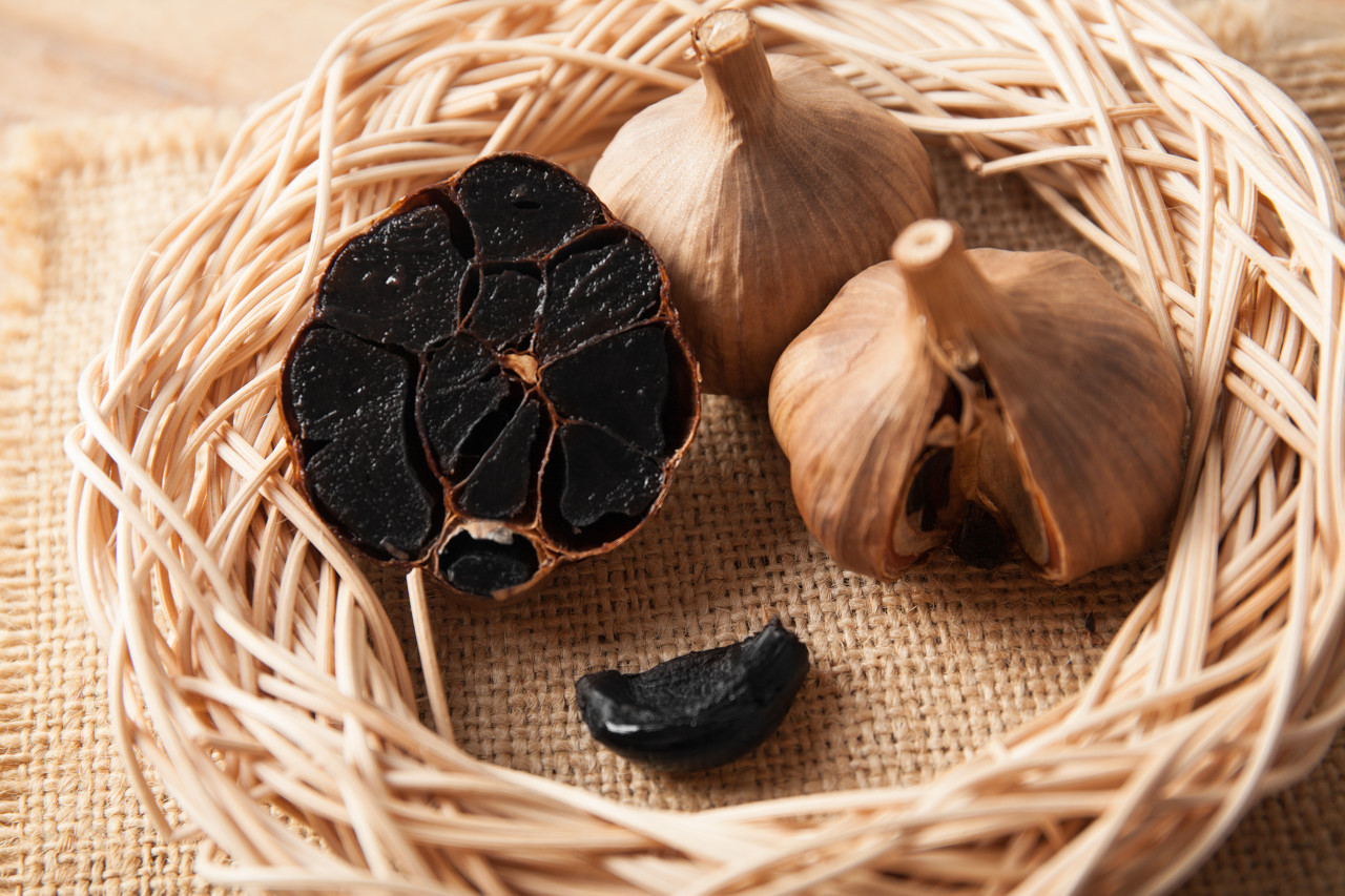 1574650016%E5%9B%BE%E8%99%AB%E5%88%9B%E6%84%8F-423170105455280289.jpg?size=406174