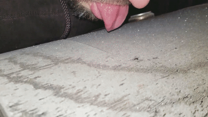 15755145058.gif?size=1705599