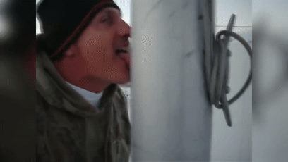 157551454014.gif?size=1474430