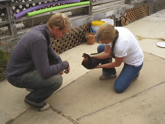 15746519543.gif?size=657121
