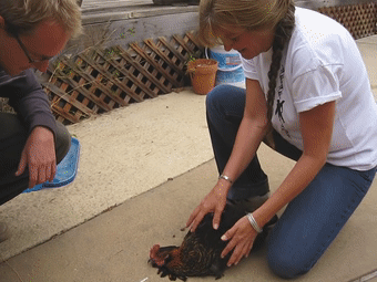 15746519655.gif?size=1784089