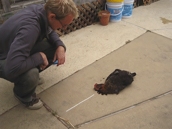 15746519706.gif?size=1016173