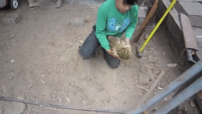 157465453018.gif?size=2372669