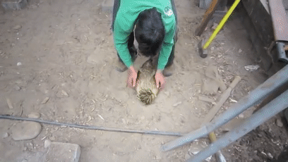 157465453619.gif?size=2580613