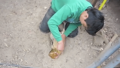 157465454320.gif?size=2570545