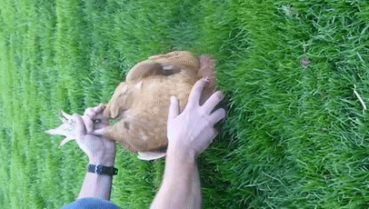 157465457825.gif?size=2066486