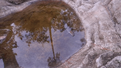 157465466831.gif?size=1920668