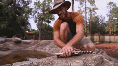 157465469634.gif?size=1237544