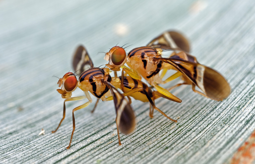 1576028741%E5%9B%BE%E8%99%AB%E5%88%9B%E6%84%8F-259872459519688742.jpg?size=211856