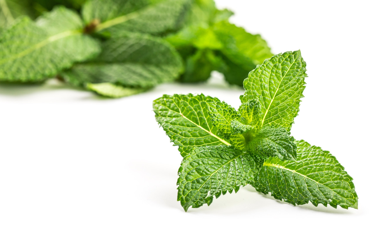 1576551032%E5%9B%BE%E8%99%AB%E5%88%9B%E6%84%8F-668389381968756740.jpg?size=255898