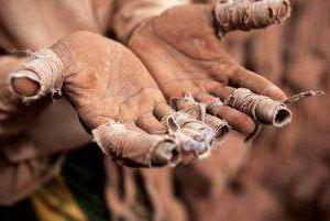 b8288784b3bd4380b31ab44651776c2e