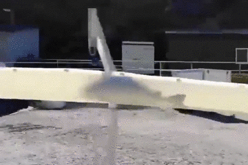 15786210661.gif?size=2458190