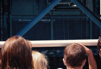 157862112811.gif?size=1695680