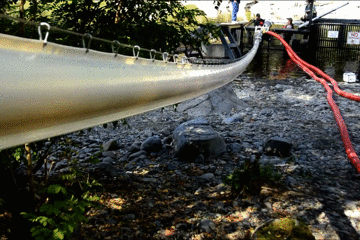 157862113712.gif?size=3389474