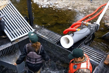 157862114313.gif?size=3814333