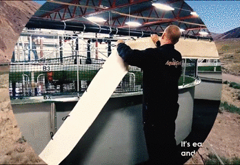 157862117217.gif?size=2564444