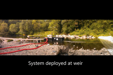 157862117918.gif?size=2458059