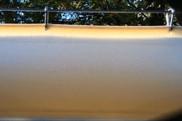 157862118519.gif?size=3107213