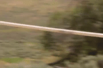 157862120021.gif?size=2300975