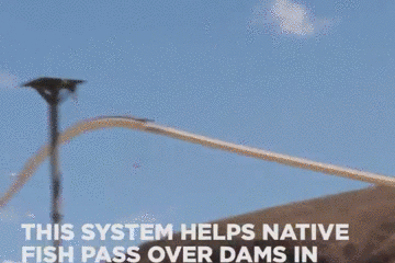 157862120622.gif?size=2167596