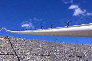 157862121223.gif?size=2514162