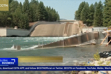 157862134328.gif?size=2279952
