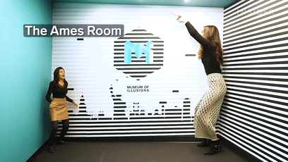 157896705916.gif?size=1183432