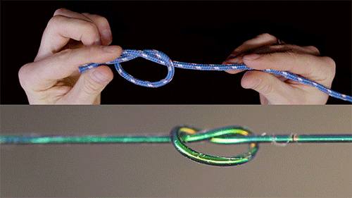 15792402342.gif?size=4967161
