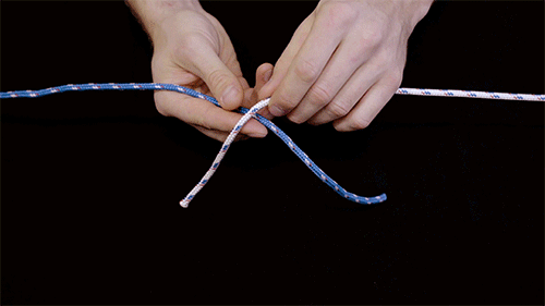 15792402566.gif?size=4533799