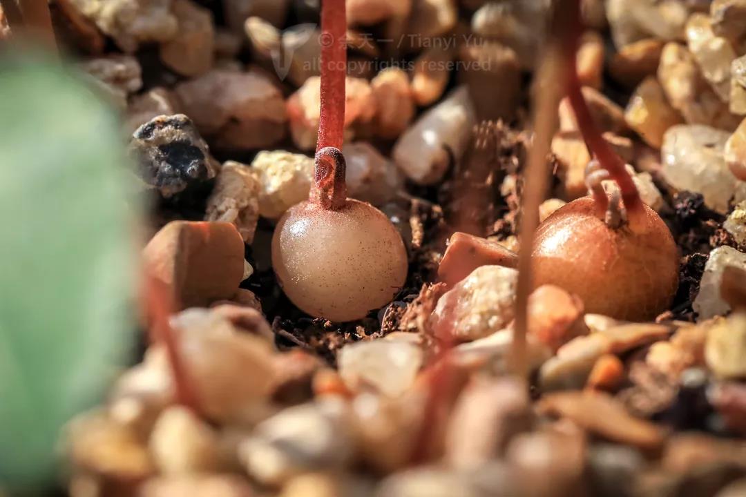 15793128542.jpg?size=79744