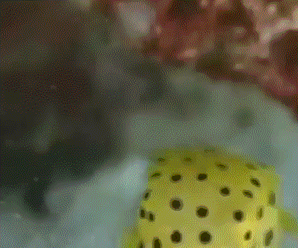 1579397657%E5%BE%AE%E4%BF%A1%E5%9B%BE%E7%89%87_20200119093413.gif?size=1479901