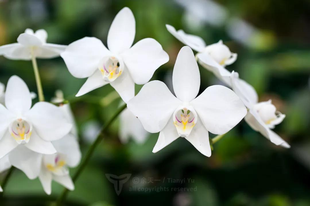 1579397476%E5%BE%AE%E4%BF%A1%E5%9B%BE%E7%89%87_20200119093115.jpg?size=54436