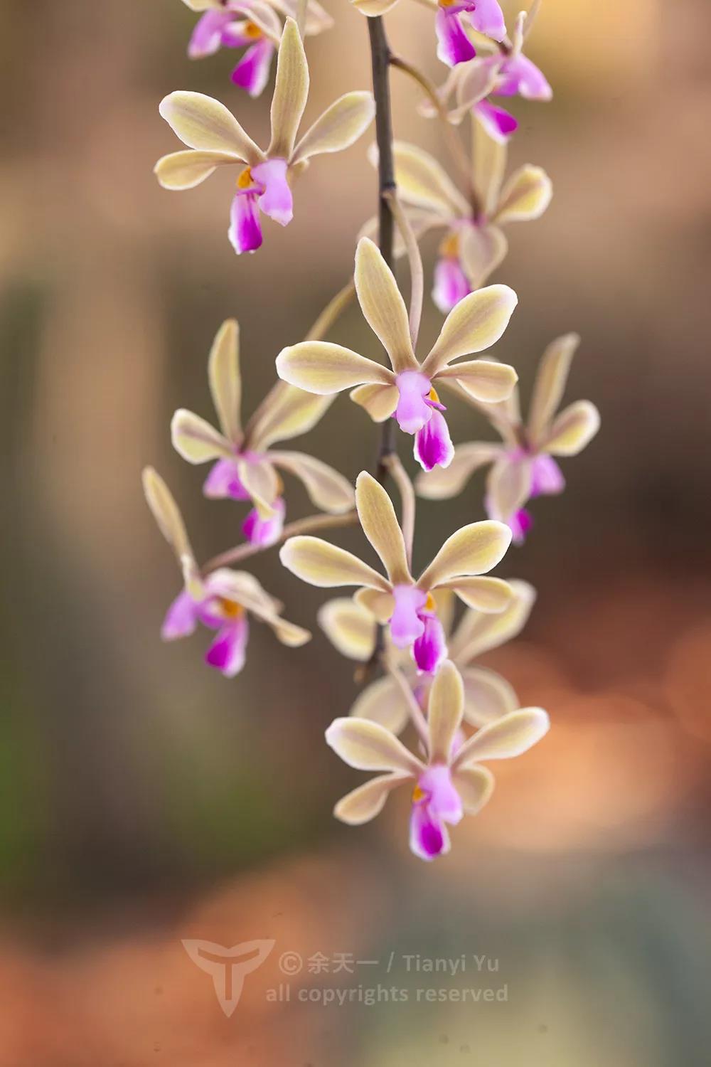 1579397458%E5%BE%AE%E4%BF%A1%E5%9B%BE%E7%89%87_20200119093057.jpg?size=91282