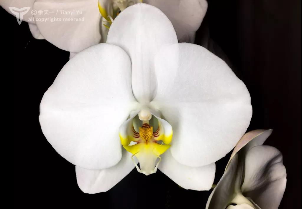 1579397444%E5%BE%AE%E4%BF%A1%E5%9B%BE%E7%89%87_20200119093042.jpg?size=43367