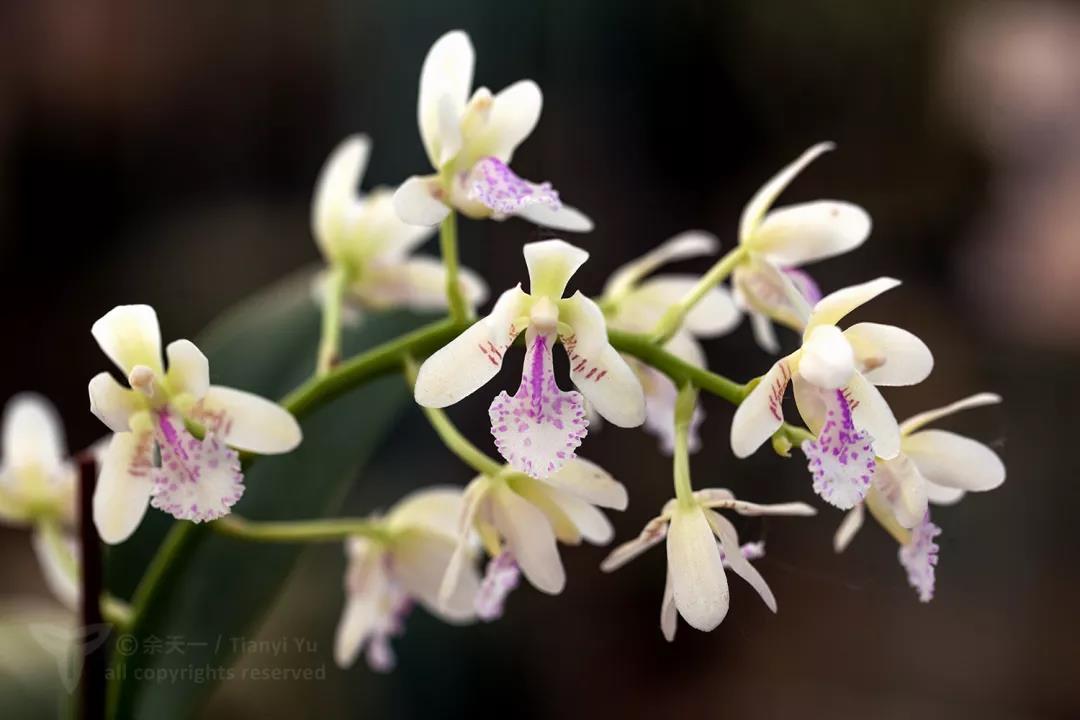 1579397412%E5%BE%AE%E4%BF%A1%E5%9B%BE%E7%89%87_20200119093011.jpg?size=58610