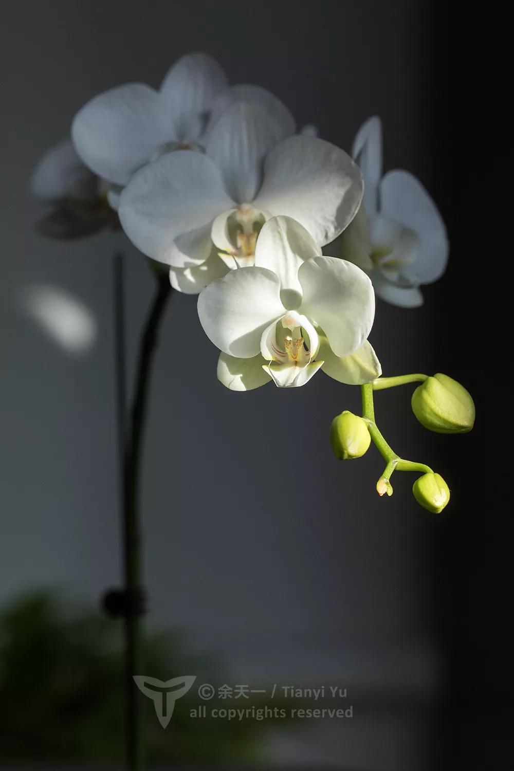 1579397395%E5%BE%AE%E4%BF%A1%E5%9B%BE%E7%89%87_20200119092953.jpg?size=63953