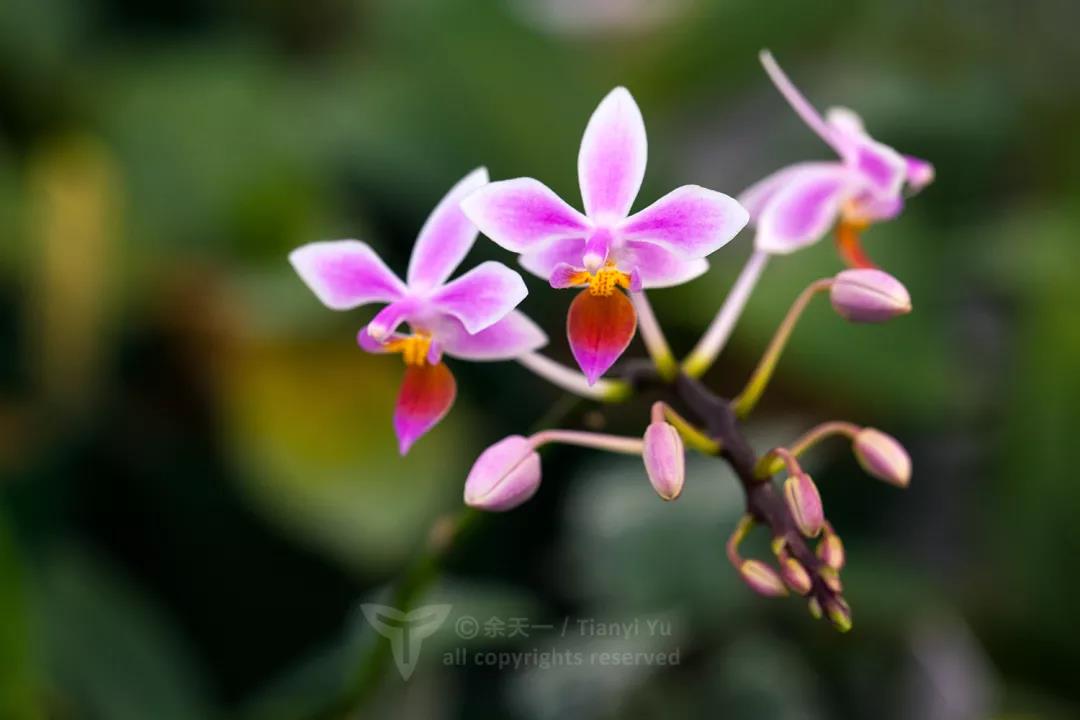 1579397376%E5%BE%AE%E4%BF%A1%E5%9B%BE%E7%89%87_20200119092936.jpg?size=49970